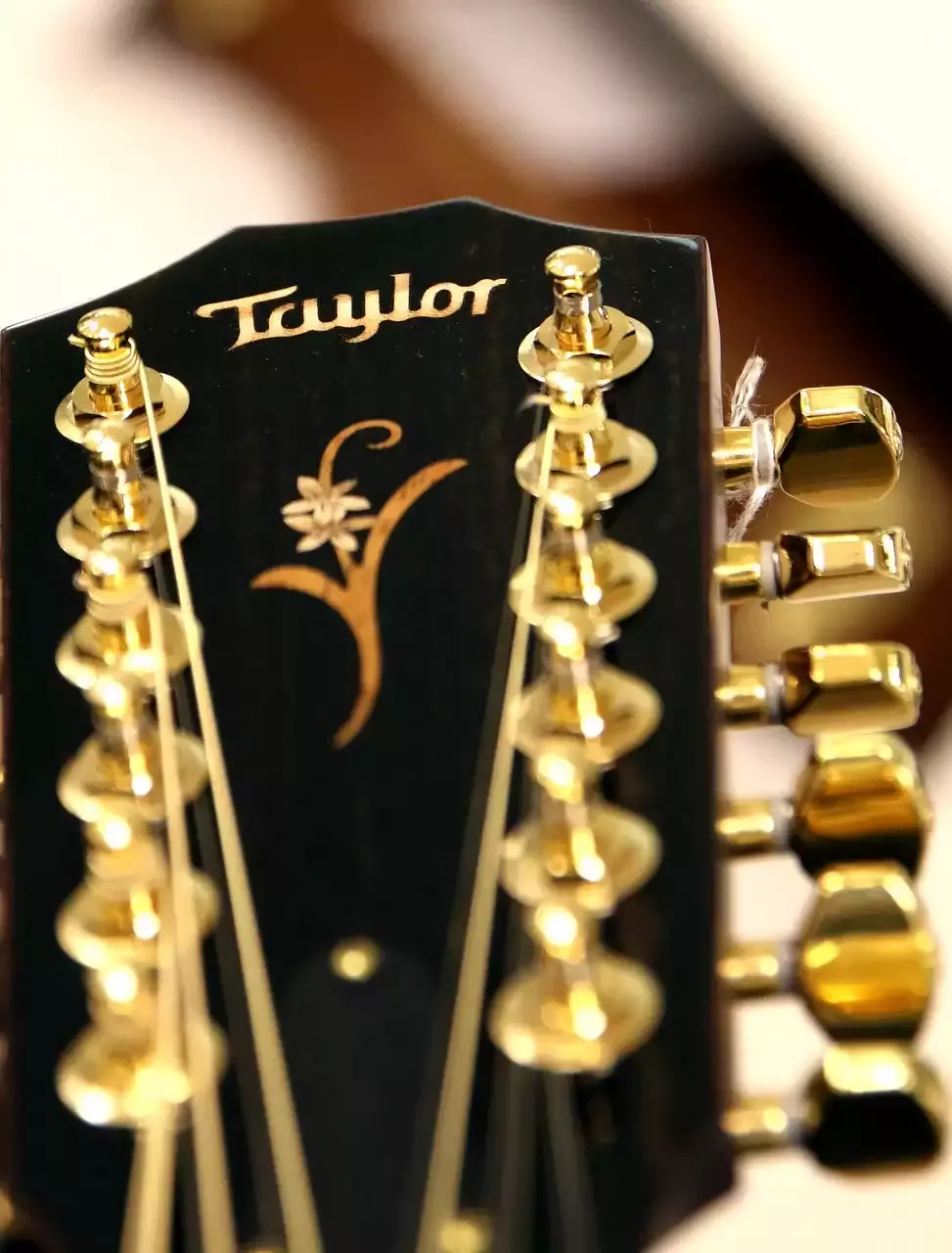 Die Geschichte von Taylor Guitars